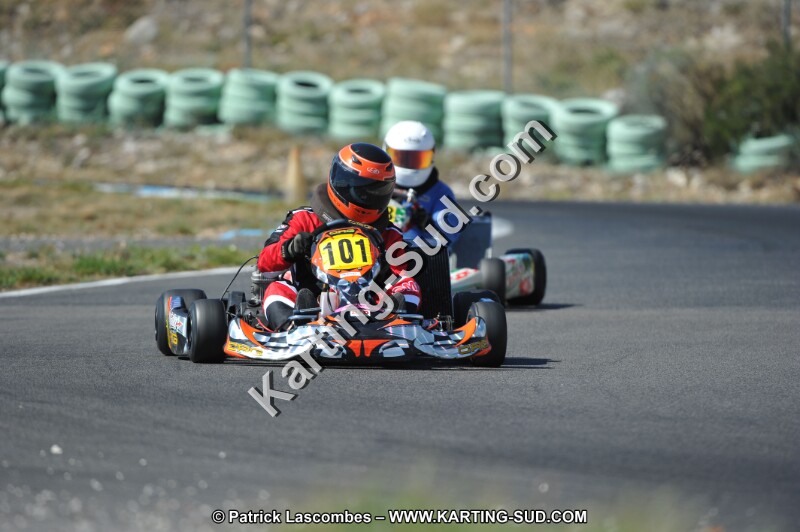 DSC (930).JPG